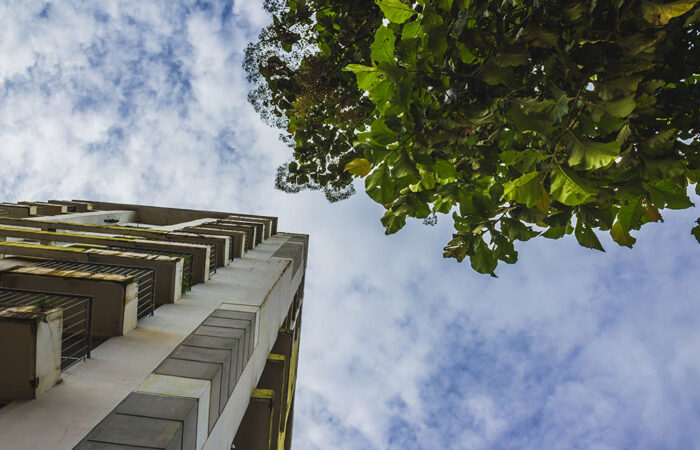 ¿Cómo debe de adoptar la sostenibilidad el sector de la construcción?